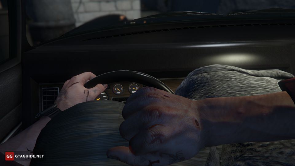 danish mir share gta 5 blowjob photos