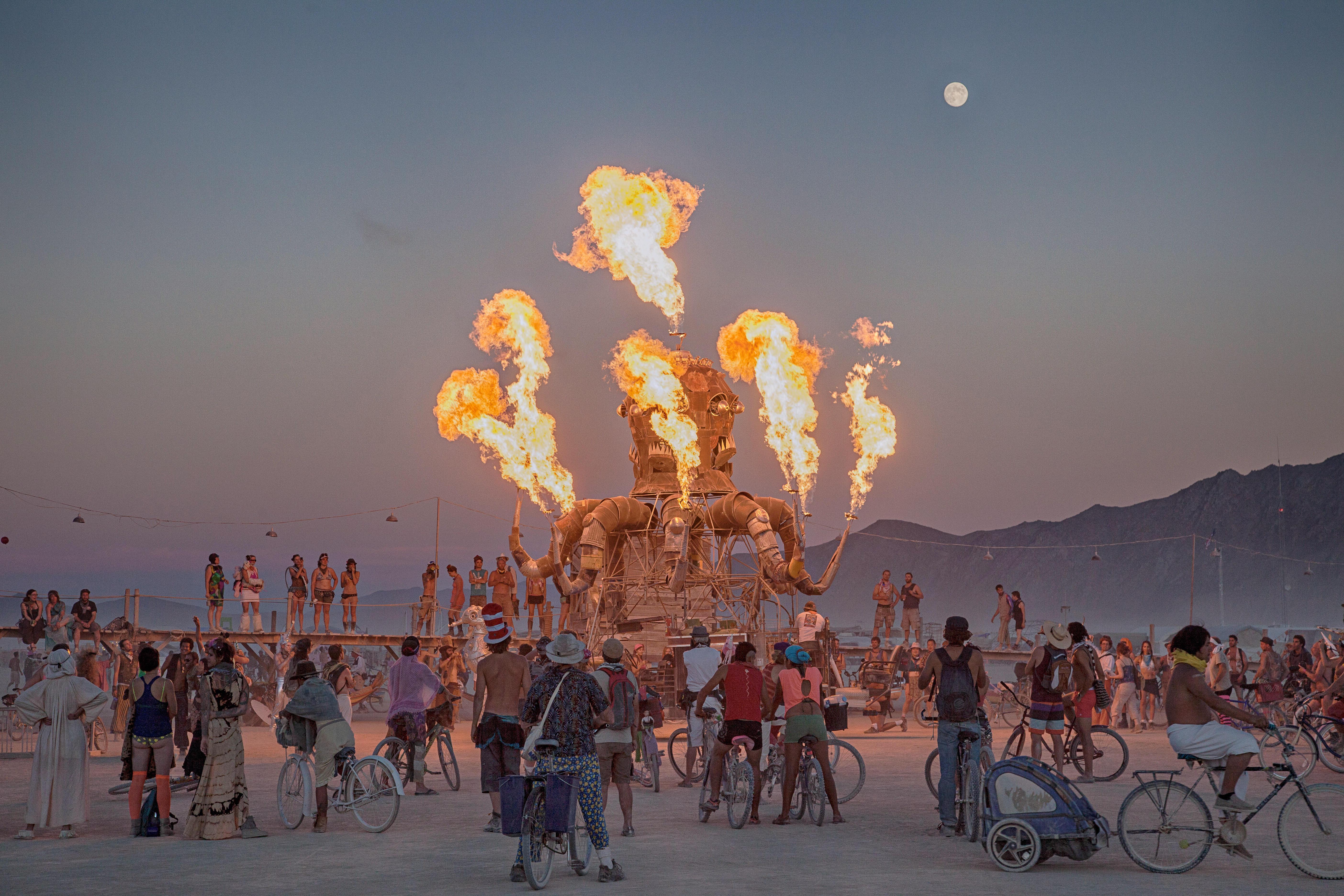 don hendry recommends burning man bj pic