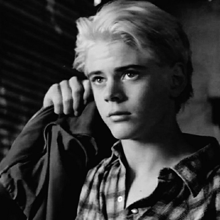 Best of Blonde ponyboy