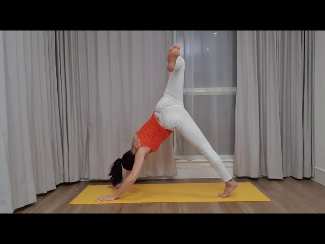 chanel sa share dani blu yoga photos