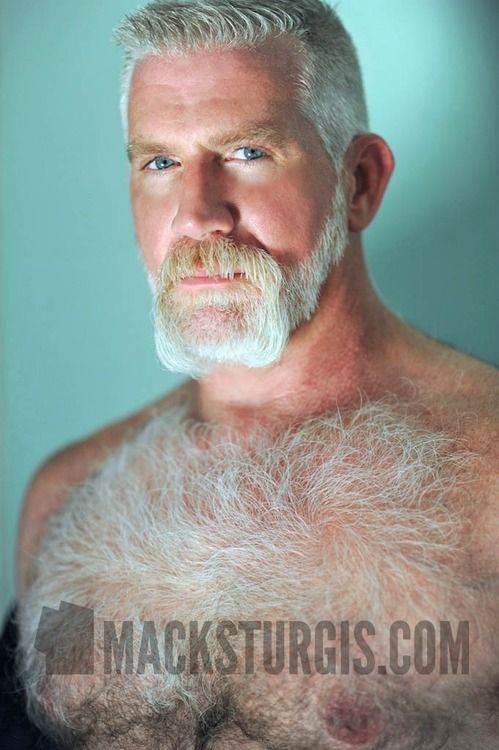 carolyn newland add silver bear daddies photo